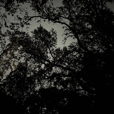 take me to my paradise (feat. addy) - Single