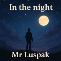 In the night - Single - Mr Luspak
