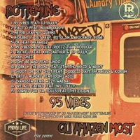 95 VIBES - Bottem Line