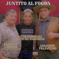 Juntito al Fogón - Single - Gastón Rodríguez el Potro del Bandoneón, Chaqueño Palavecino & Federico Córdoba