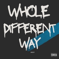 Whole Different Way - Single - WillGz