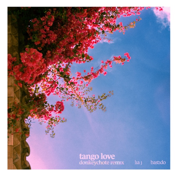 Tango Love (Remix) - Single