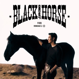 Black Horse Li Ronghao