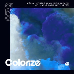 Here Again / Wild Again - EP