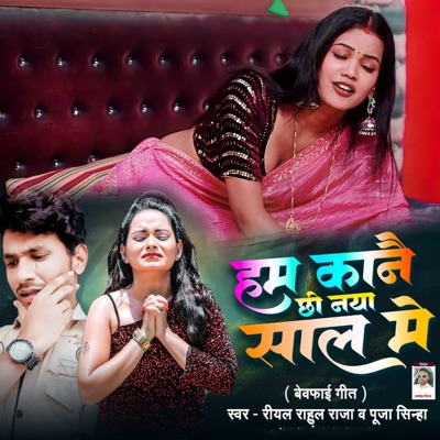 Ham Kanai Chhi Naya Sal Me - Single