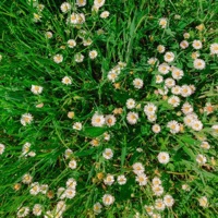 5 - Single - Sebastian Jautschus