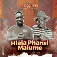 Hlala phansi (feat. Racha kill) - Single - Chief Ndibu