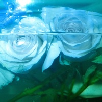 Lonesomeness - Single - SEOULDAL