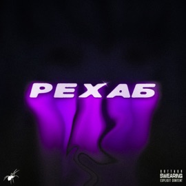 рехаб (Deluxe) gottago