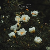 Quiet Space (Instrumental) - Single - Khamir Music