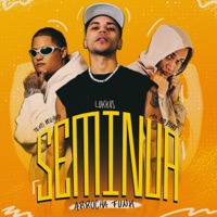 SEMINUA(Arrocha Funk) - Single - Lukkas, Teko Bolado & MK no Beat