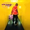 Akinyele - Large Professor lyrics
