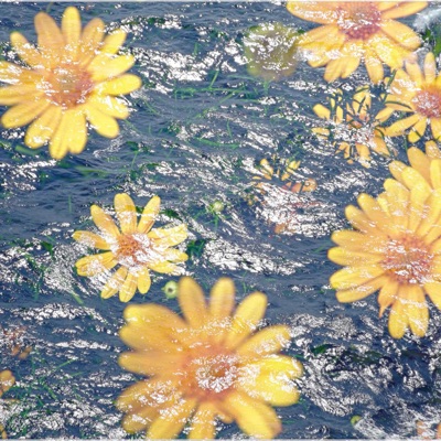 W H ! T E NO!SE // 1117 - Single