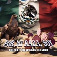 POR MI RAZA SOY (feat. Silar Kilos de Estilo) - Single - Oneper