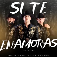 Si te enamoras - Single - Los mismos de chihuahua