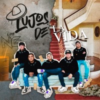 Lujos De La Vida - Single - Los de la Ng