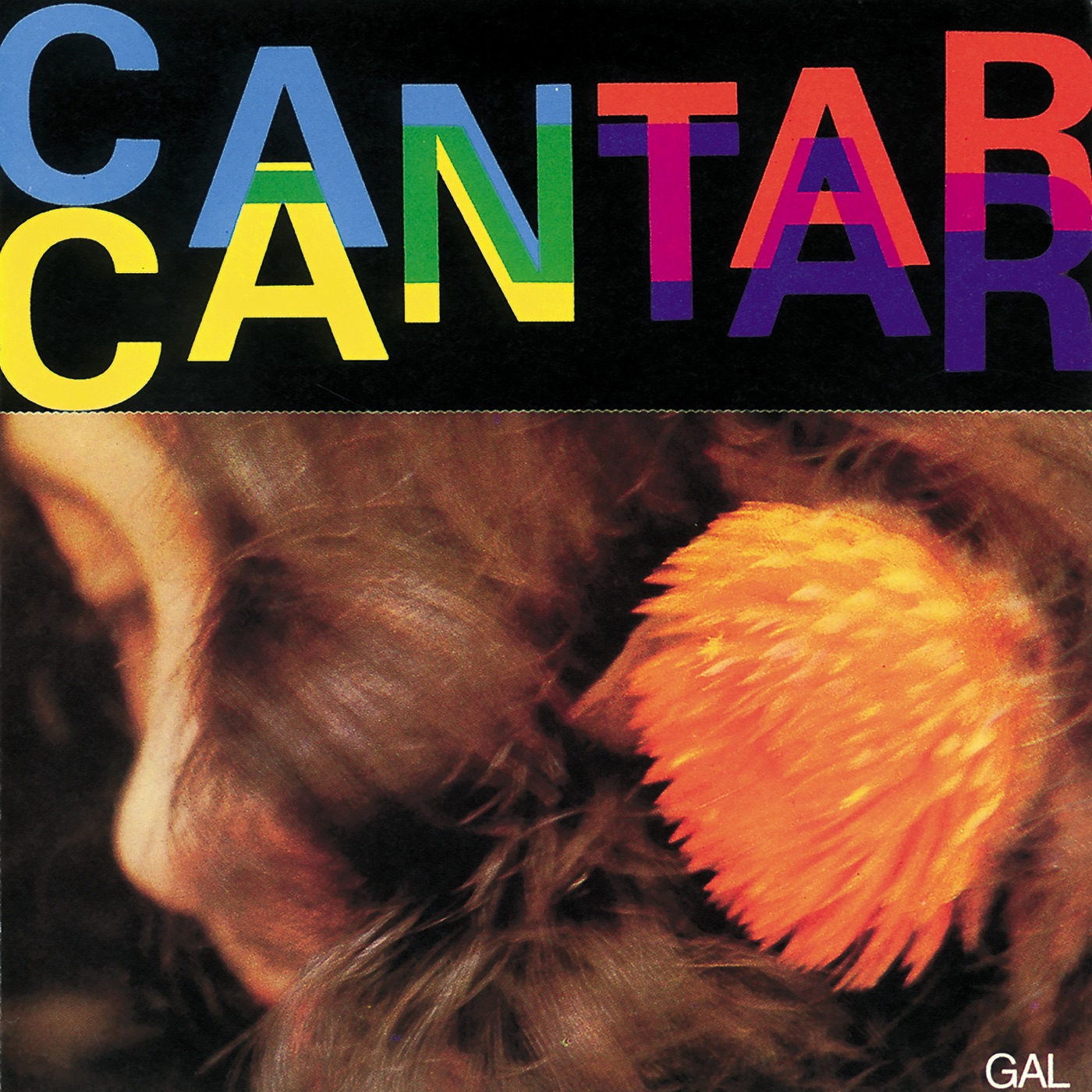 Cantar by Gal Costa