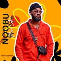 Album cover for Noobu by Mavo Culture