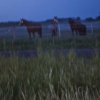 Succubus (feat. Eternal Abyss) - Single