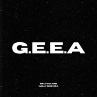 GARDEL EN EL AVIÓN - Single - Delfina Dib & Willy Bronca