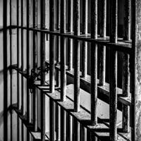 Vangile ei meeldi trellid (feat. Triin Niitoja & Freddy Tomingas)