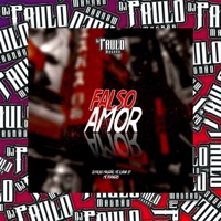 Falso Amor - Single - DJ Paulo Magrão, Mc Forneris & MC Luana SP