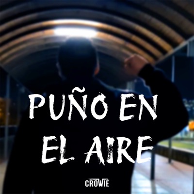 PUÑO EN EL AIRE - Single