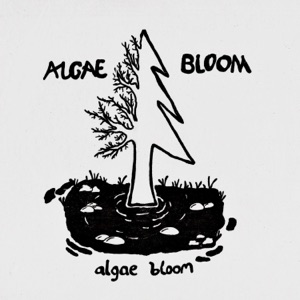Algae Bloom - Single