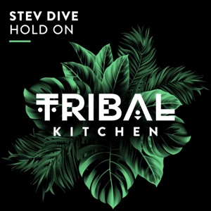 Hold On - Single