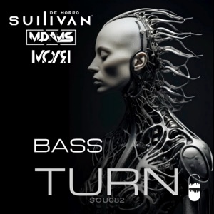 Bass Turn (Radio Edit)