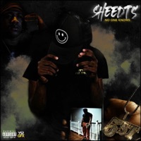 No One Knows - Single - SheedTs