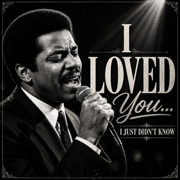 I Loved You I Just Didn’t Know - JERRY'S SOUND ROOM