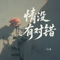 情没有对错 (官方男版) - Single - Lunsang