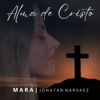 ALMA DE CRISTO