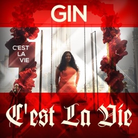 Wo Ai Ni 我爱你 Gin