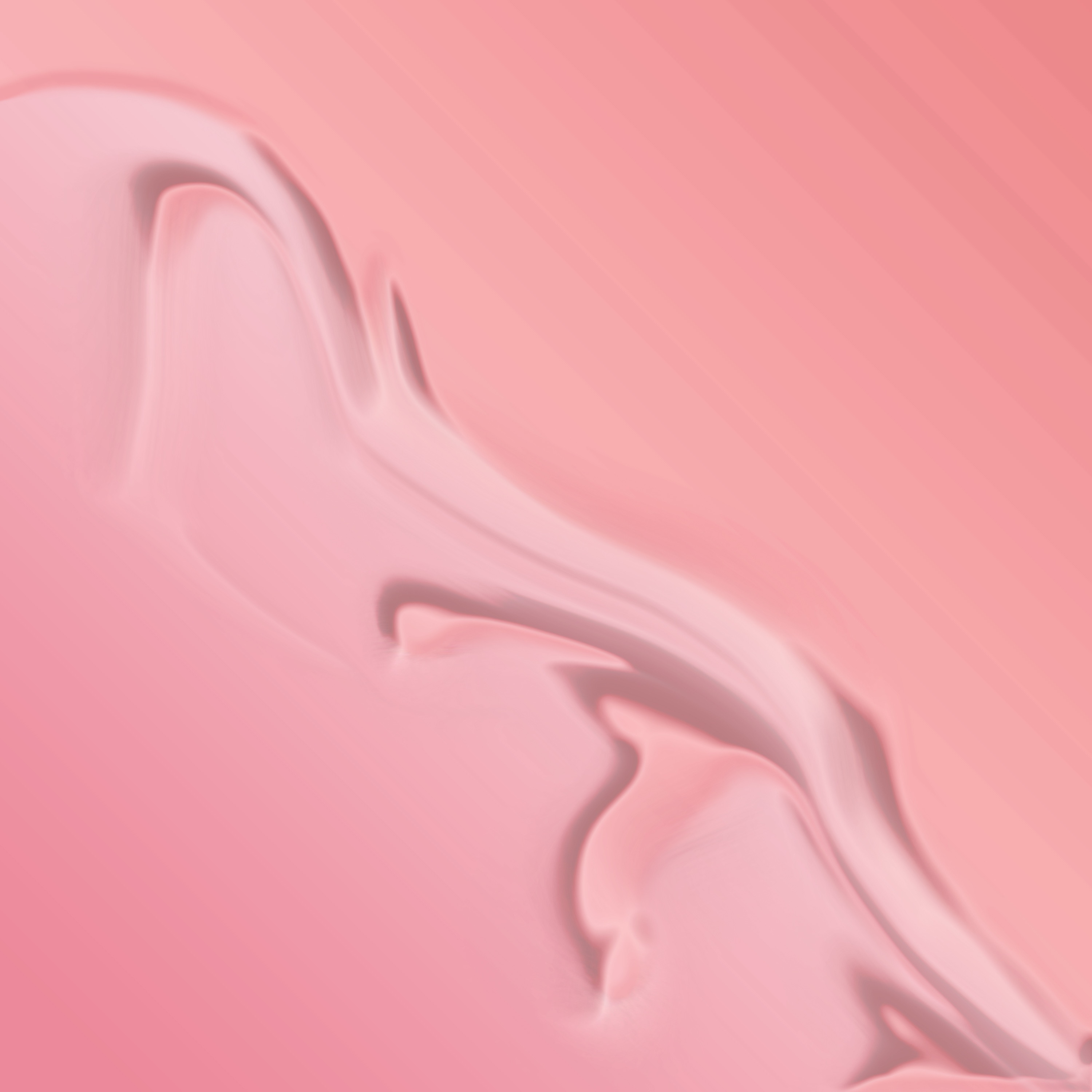 y2mate.com - Warde (1)