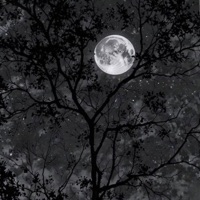 ยังคิดถึง (feat. Ariaboy, Tfriz & K.AGLET) - Single - Medkit.Z