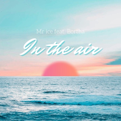 Money In The Air (feat. Bortha) - Single