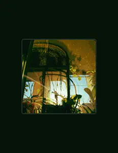 Hör dir Ouara an, schau dir Musikvideos an, lies die Biografie, finde Tourdaten und mehr!