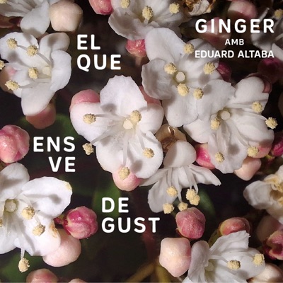 El que ens ve de gust, Ginger amb Eduard Altaba (feat. Eduard Altaba)