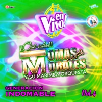 Tomas Morales y su Marimba Orquesta - Amor de Internet
