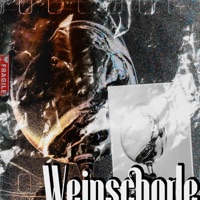 Weinschorle (feat. morten) - Single - Ziry