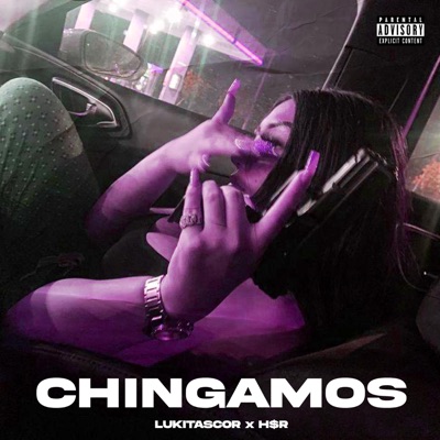 CHINGAMOS - Single