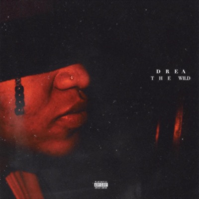 The Girl, Pt. 3: The Wild - Single