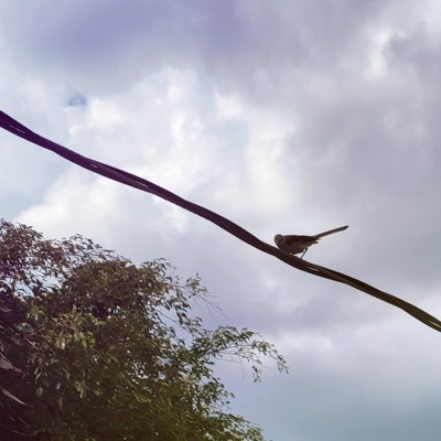 Sunlight (feat. Kanalia) - Single