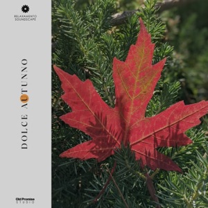 Dolce Autunno
