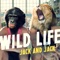 Wild Life - Jack & Jack lyrics