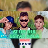 Si un día estas sola - Single - Ale mix