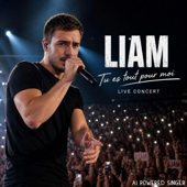 Tu es tout pour moi (live concert) song art