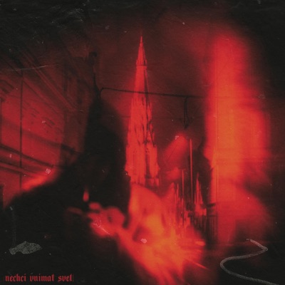 Nechci vnímat svět - Single